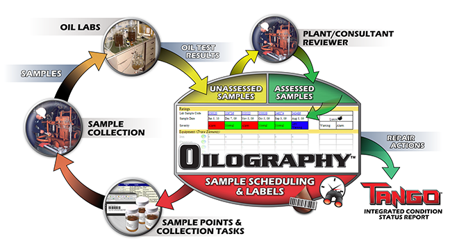 Oilography Graphic